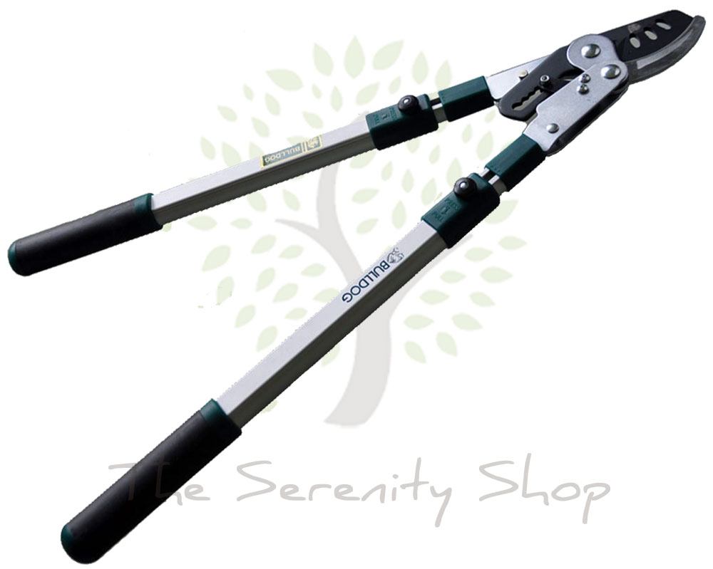 BULLDOG EVERGREEN - Bypass Ratchet Telescopic / Extendable Lopper - Image 2