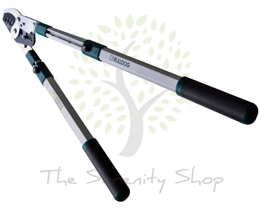 BULLDOG EVERGREEN - Bypass Ratchet Telescopic / Extendable Lopper - Image 3