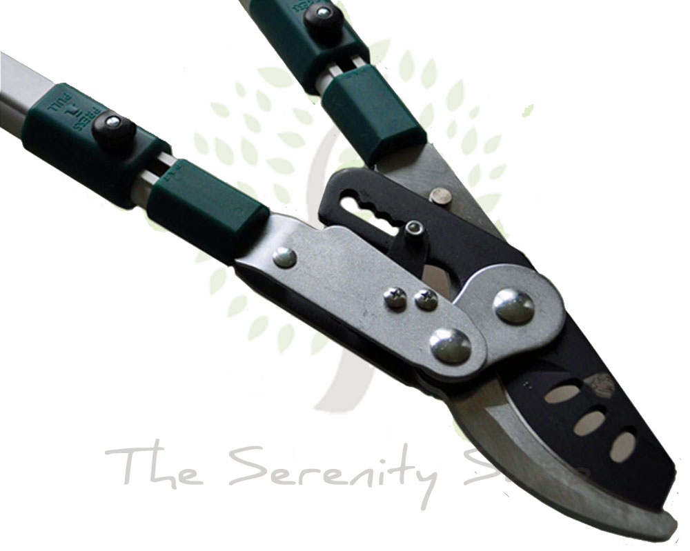 BULLDOG EVERGREEN - Bypass Ratchet Telescopic / Extendable Lopper - Image 5
