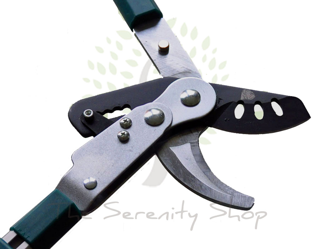 BULLDOG EVERGREEN - Bypass Ratchet Telescopic / Extendable Lopper - Image 4