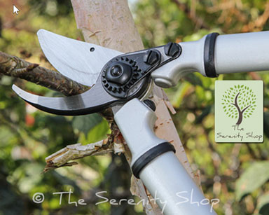 Darlac Expert Bypass Fine Lopper - Image 4