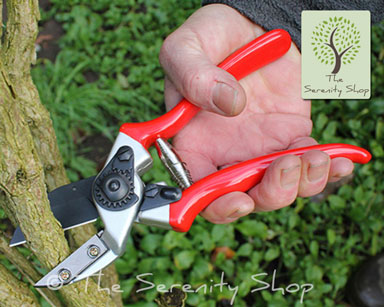 Darlac Expert Anvil Pruner / Secateurs - Image 4