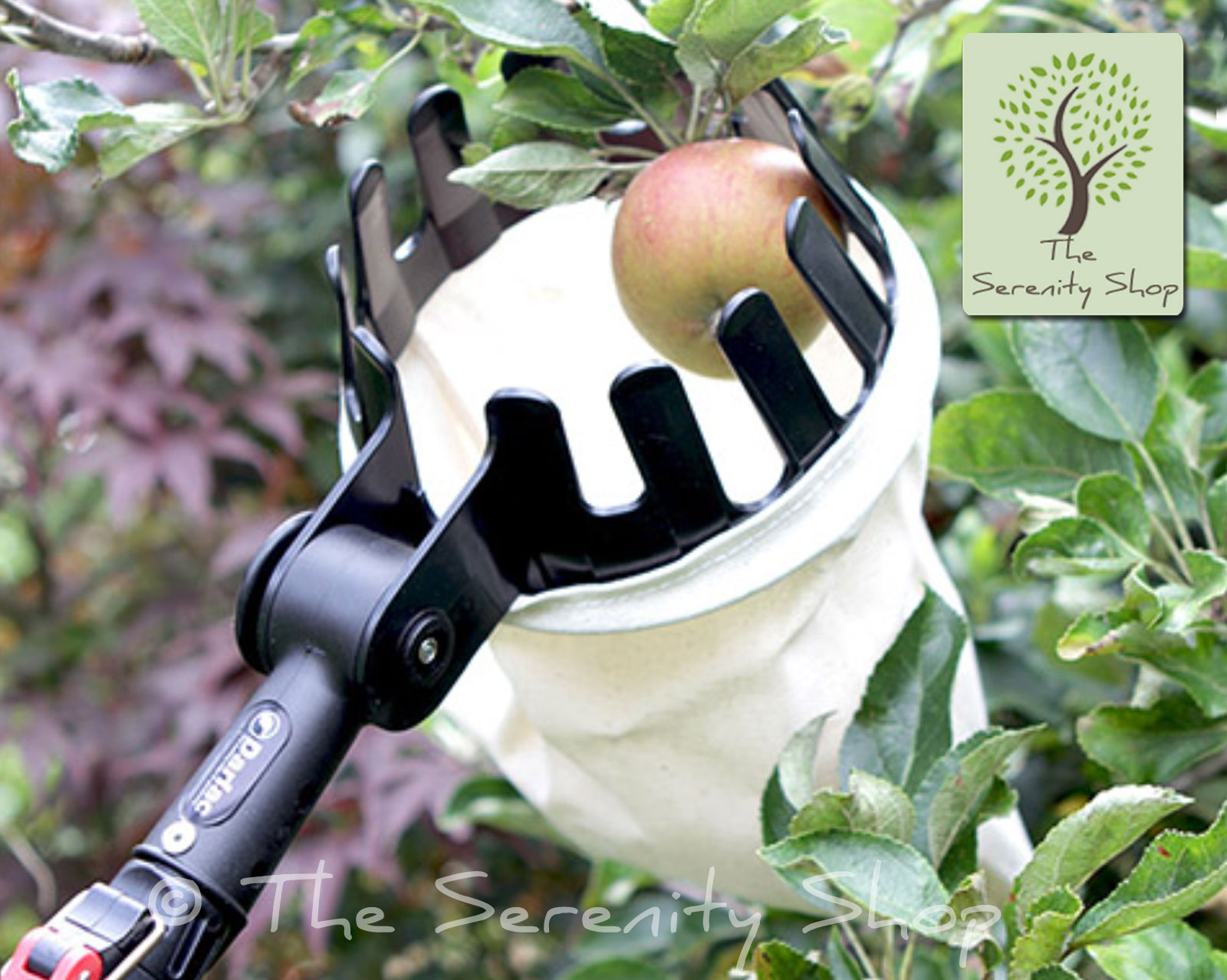 Darlac Expert Fruit Picking Basket - Image 2