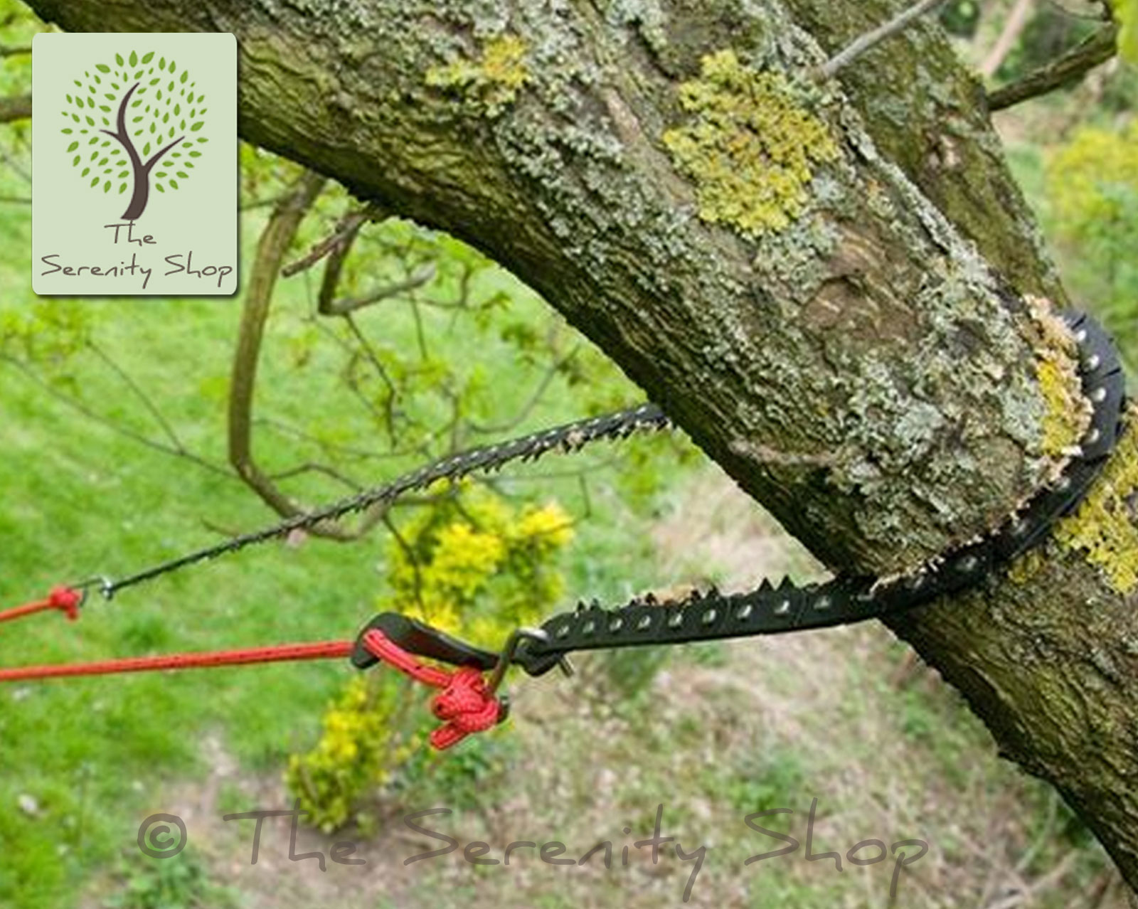 Darlac Pocket Chain Saw for Pruning Camping & Roots - Image 4