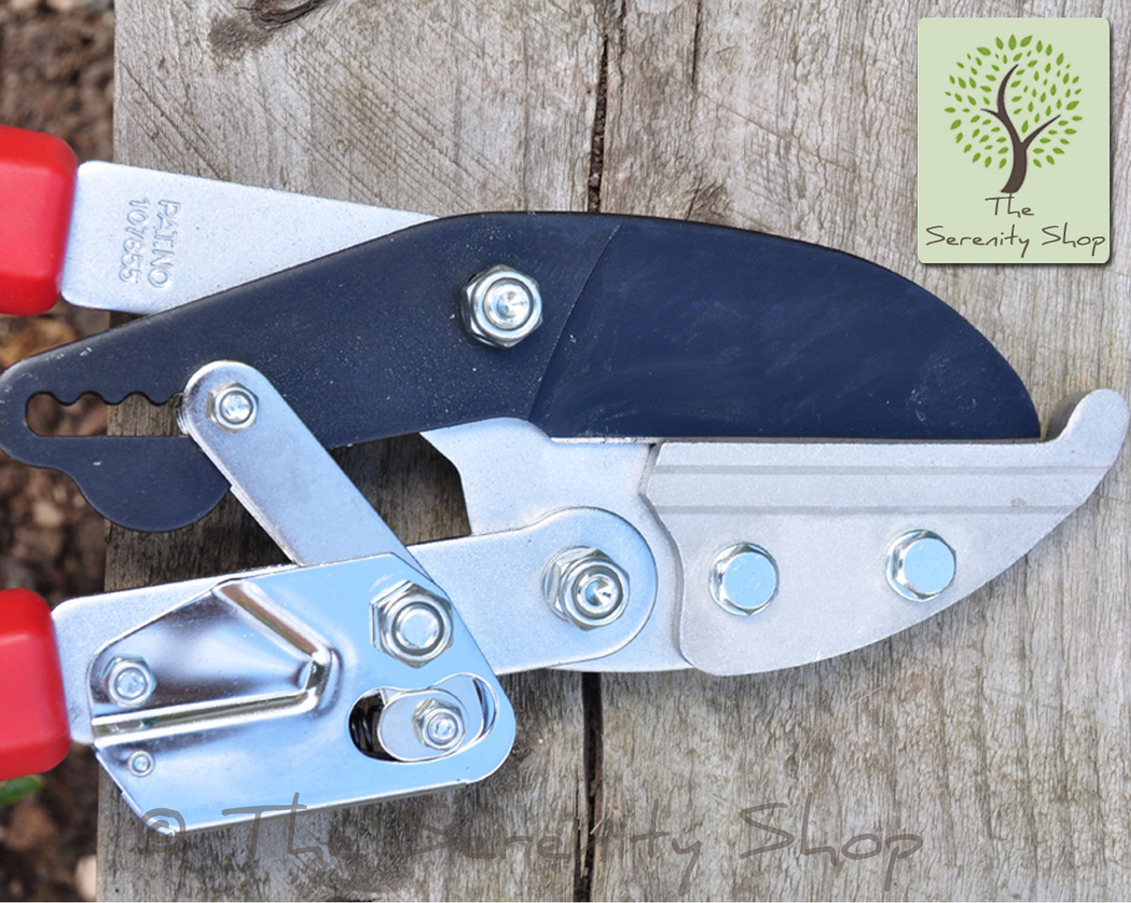 Darlac Lightweight Telescopic Ratchet Loppers - Image 4