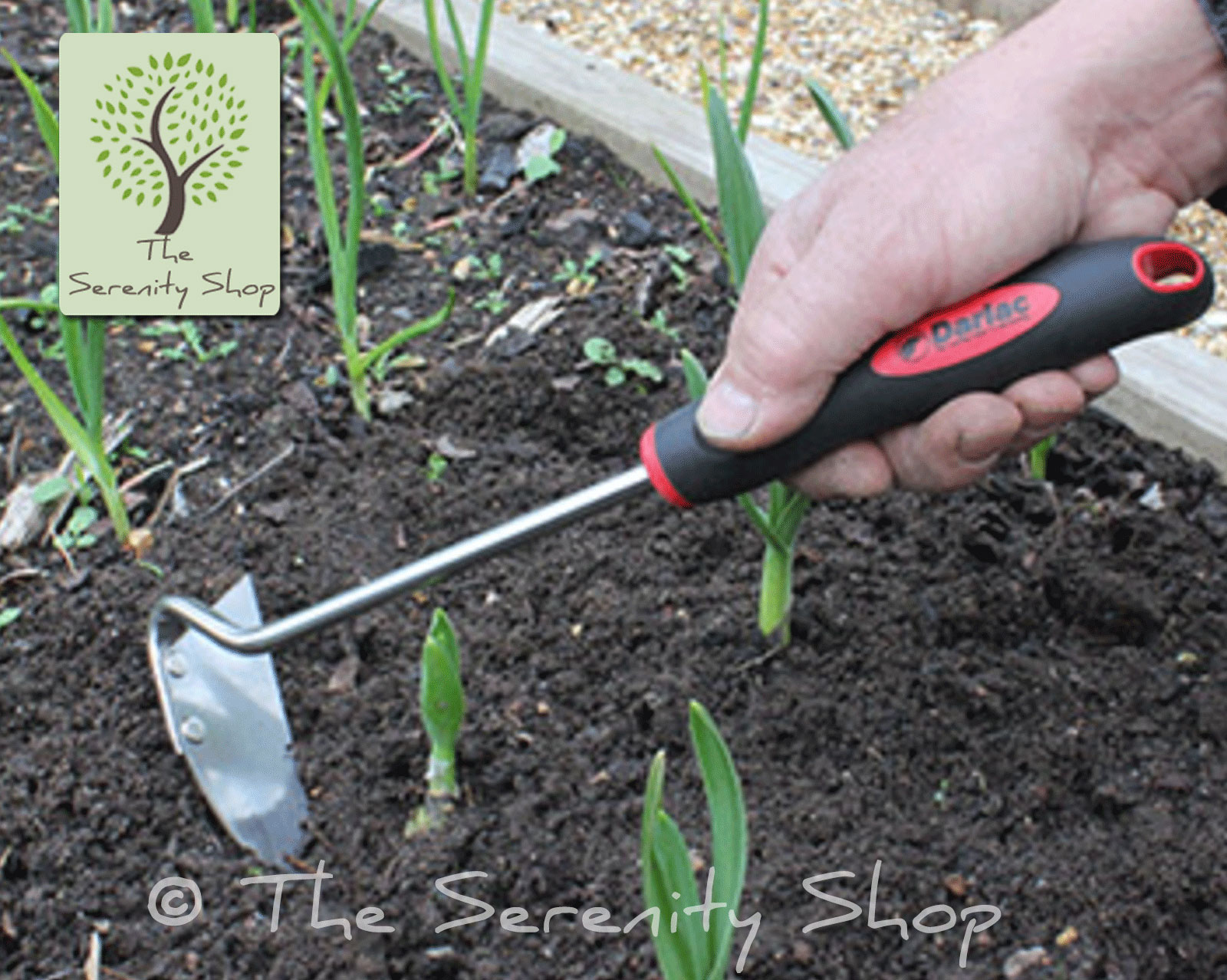 Darlac Garden Onion Hoe Trowel - Image 2
