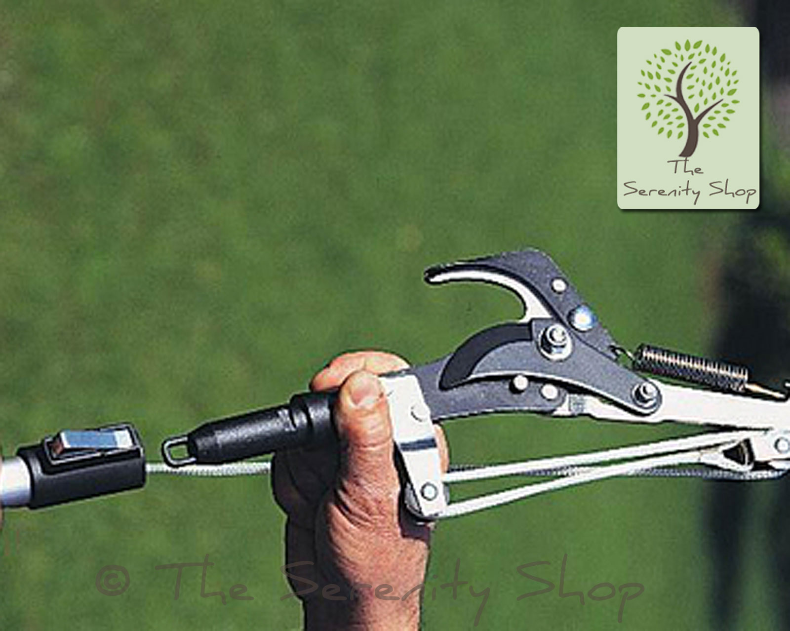 Darlac Garden Swop Top Tree Pruner - Image 4