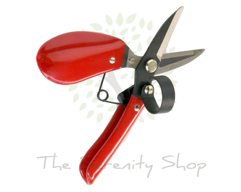 Darlac Garden Floral Shear / Scissor - Image 4