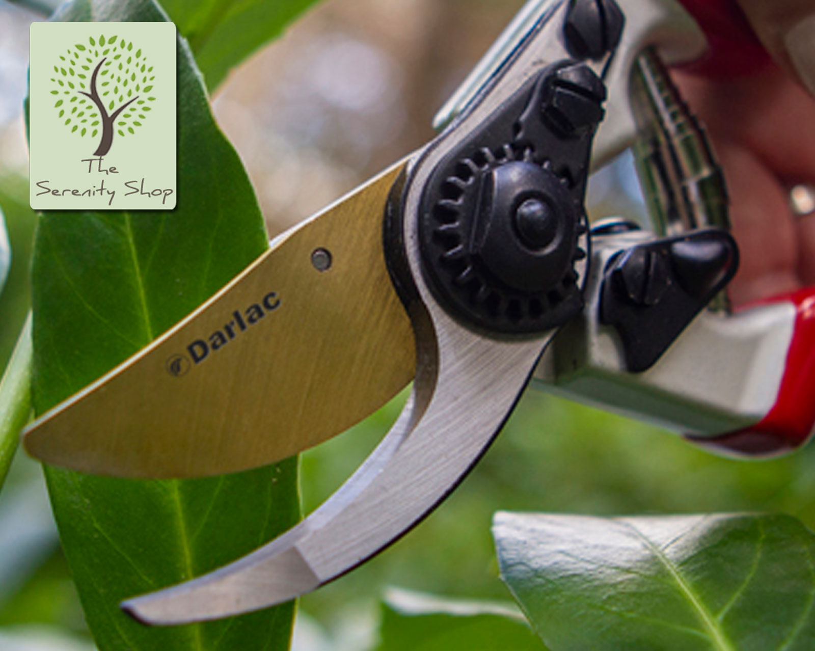 Darlac Expert Titanium Bypass Pruner / Secateurs - Image 5